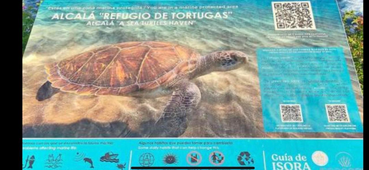 דירות Alcala Center A 5 Minutos Del Paseo Y Playas מראה חיצוני תמונה